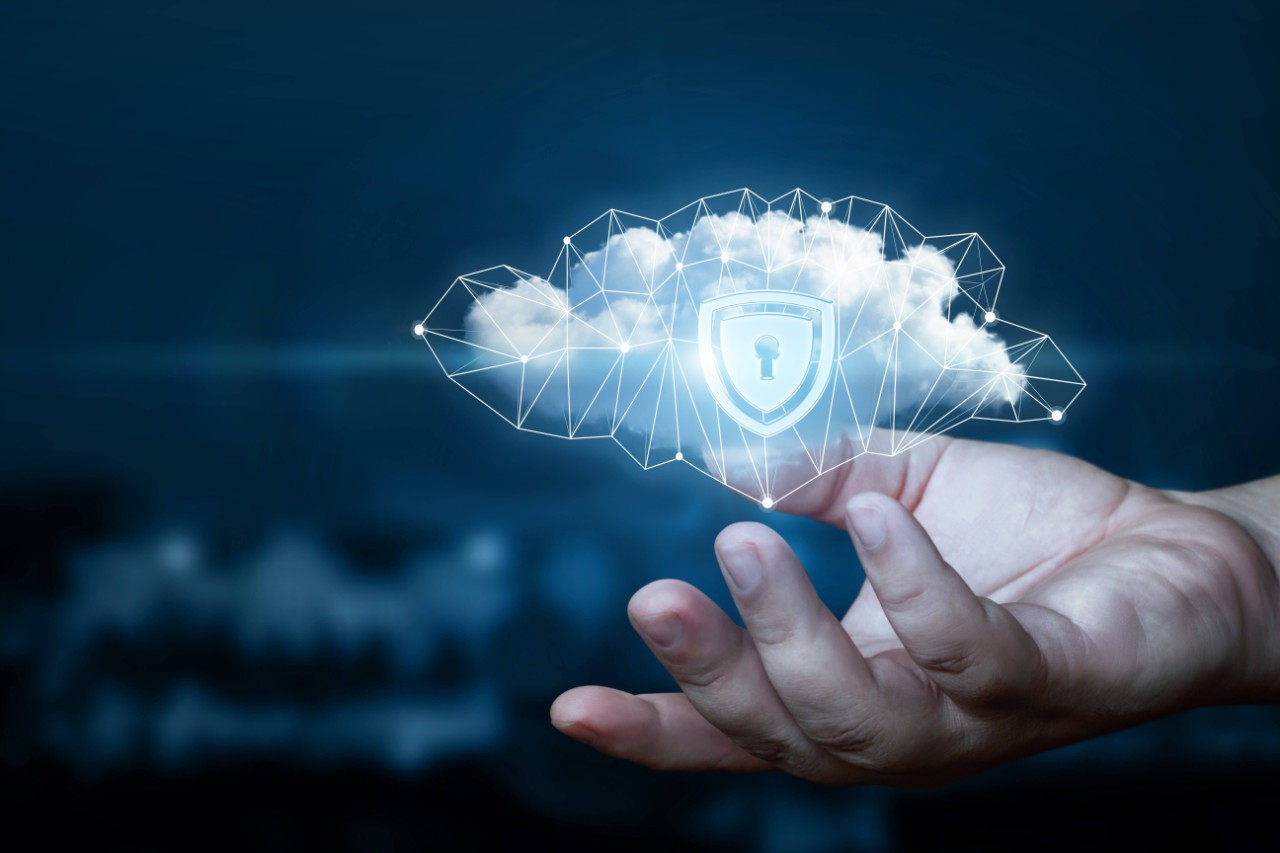 data privacy consent shield